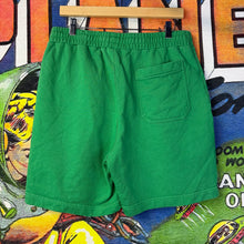 Load image into Gallery viewer, Helmut Lang Vienna Postcard Shorts Size Large